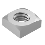 Stainless Steel Nuts